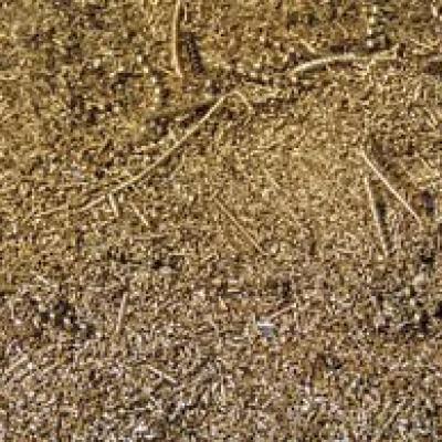 Brasschip 2